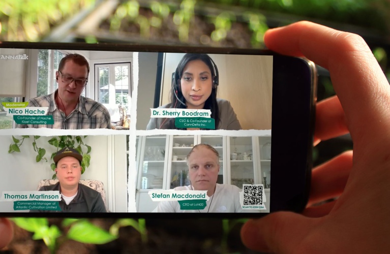 The State of the Cannabis Industry in Europe and Its Impact on Canada