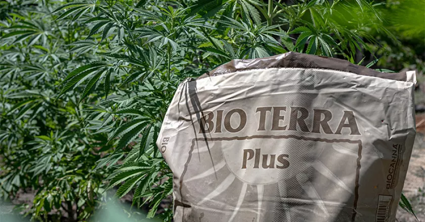 Industry Spotlight: West Coast Weedery & BIOCANNA