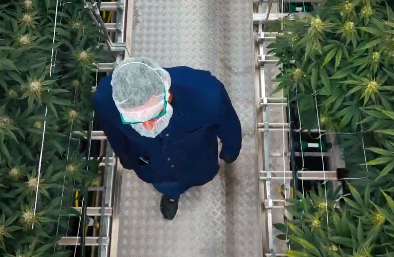 Cultivating Excellence: How Cannara Biotech Scales Quality with CANNA Nutrients 