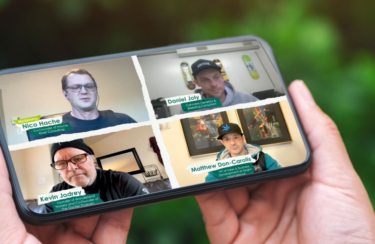 GENETICS IN FOCUS: Breeding Innovation for Tomorrow’s Market