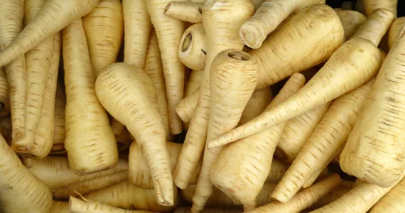 Parsnips – Grow it yourself