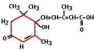 Plant hormones