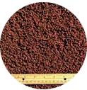 Coir: Common forms and applications of coco