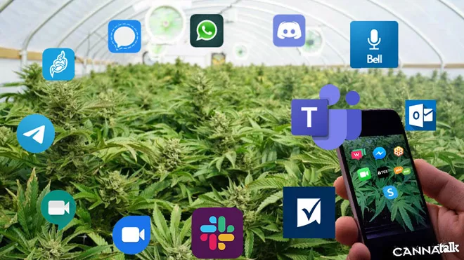 How Commercial Cannabis Growers Can Use Apps to Improve Team Communication