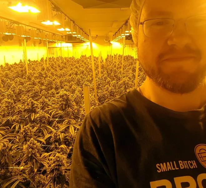 MEET Meurig Murray, Flower Supervisor at Zenabis Global Inc., New Brunswick