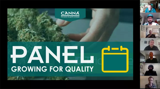 Industry insights: How To Grow Quality Cannabis