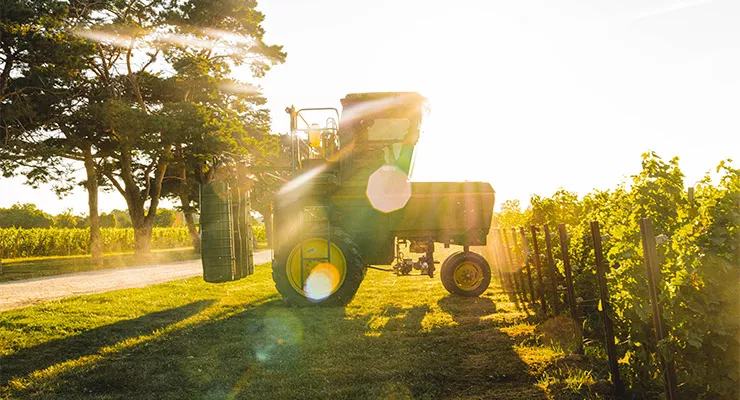 MEET Andrew Sullivan, Vineyard Manager at Pearl Morrisette Winery in Niagara, Ontario