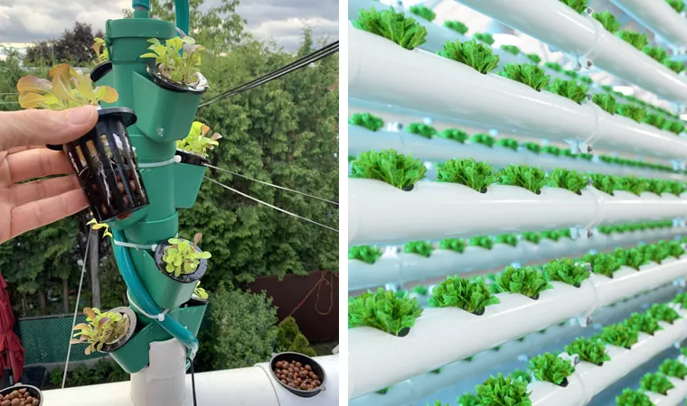 VERTICAL FARMING – Reaching New Heights with CANNA AQUA