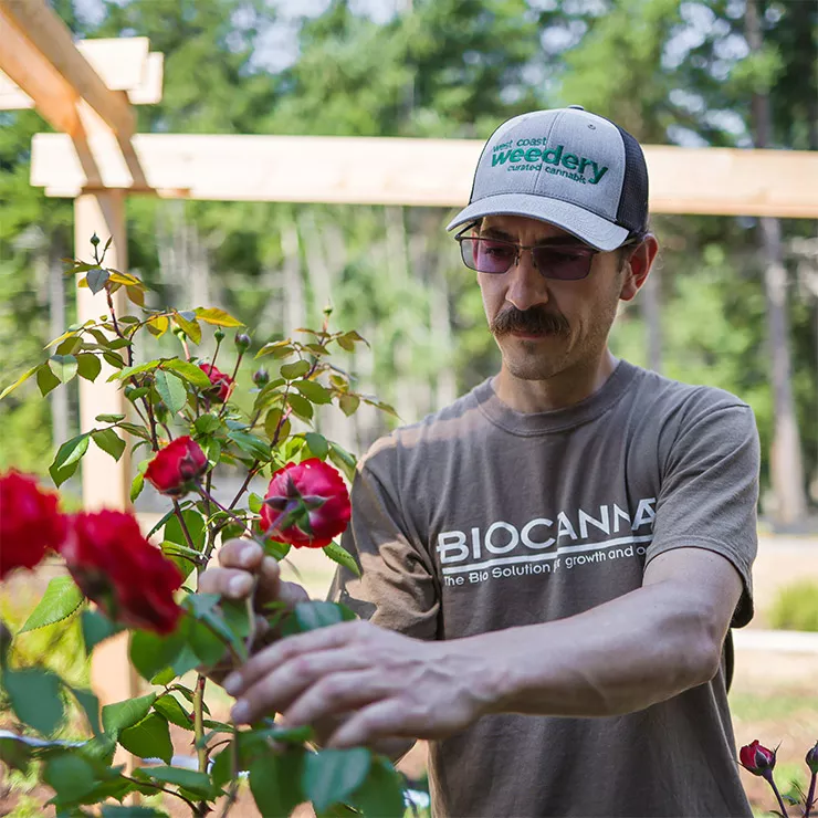Industry Spotlight: West Coast Weedery & BIOCANNA