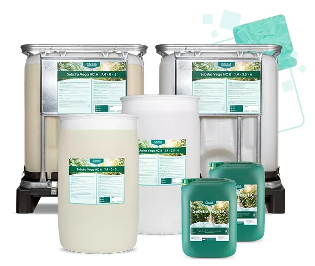 CANNA SUBSTRA HC