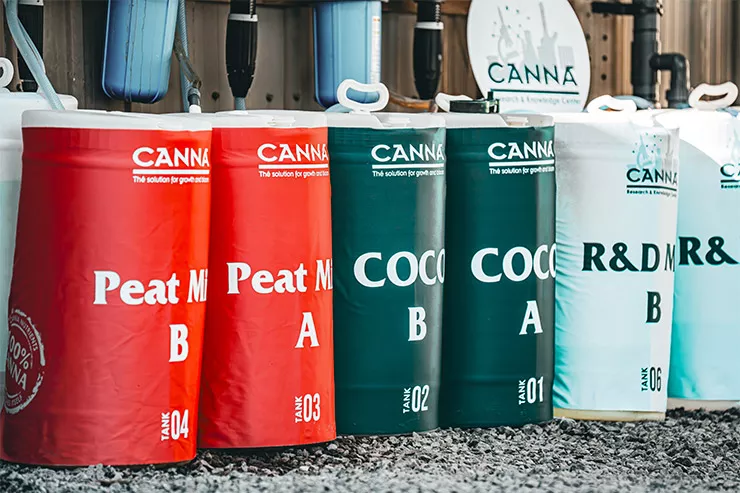 Three Approaches. Real Conditions: An Outdoor Test of Coco, Peat, and R&D at the CANNA Research & Knowledge Center
