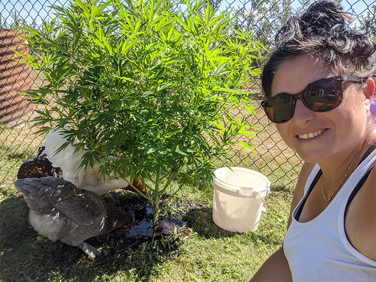 MEET the Grower: Jen Capobianco, Toronto, Ontario