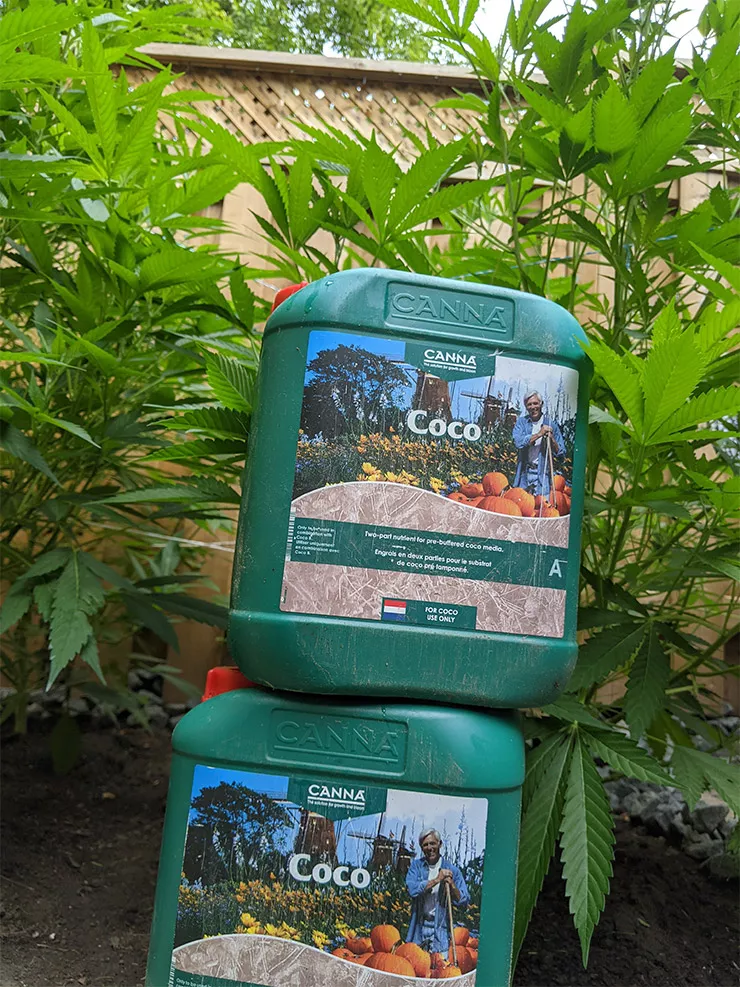 MEET the Grower: Jen Capobianco, Toronto, Ontario