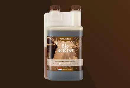 BioBOOST