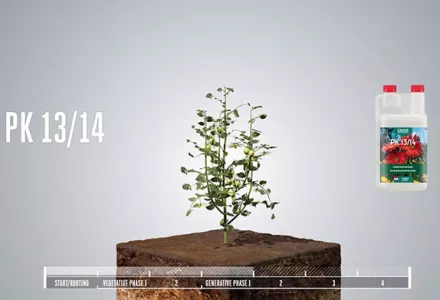 HESI PK 13/14 ピーケー13/14 Canna PK13/14 ピーケー13/14 開花促進肥料 - growstore -グロウ