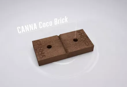 CANNA Coco Brick