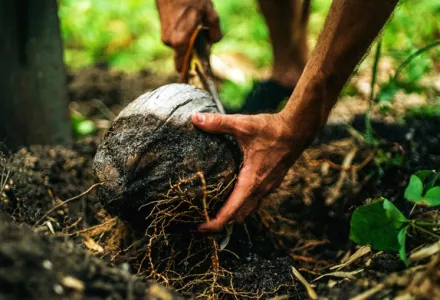 CANNA Coco Brick | CANNA CANADA