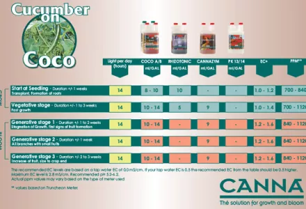 Cucumber on CANNA COCO Grow Schedule