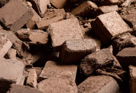 mayayan0929 【CANNA】COCO BRICK10個 CANNA Coco Brick | CANNA CANADA