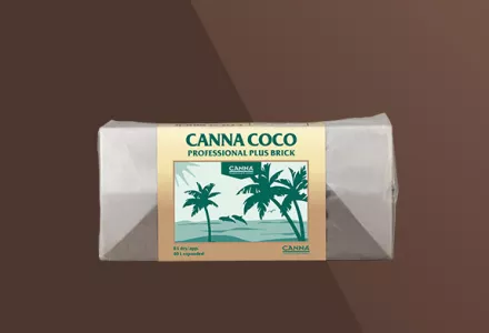 CANNA Coco Brick