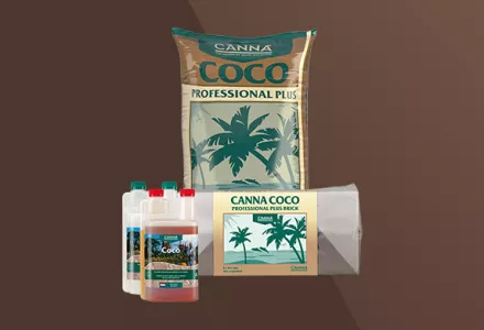 CANNA COCO