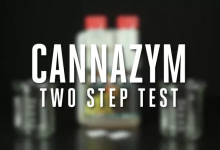 CANNAZYM Two-step Test