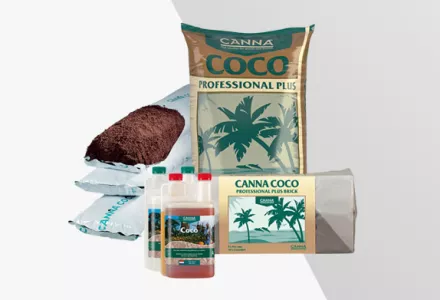 CANNA Product Images