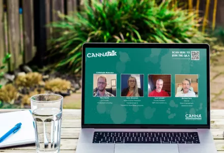 Navigating the Cannabis Industry's Common Challenges: A Year-End Discussion