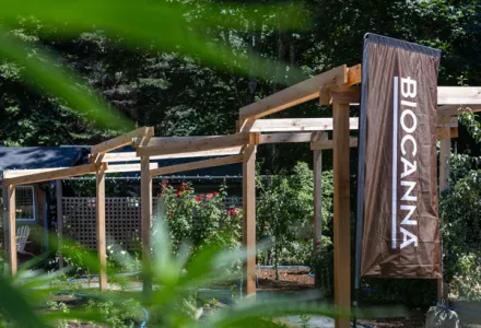 Industry Spotlight: West Coast Weedery & BIOCANNA