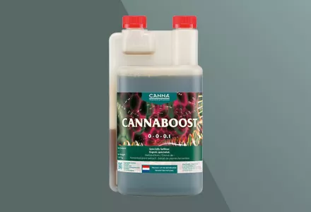 CANNABOOST