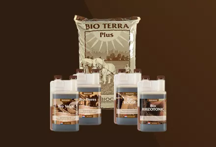BIOCANNA