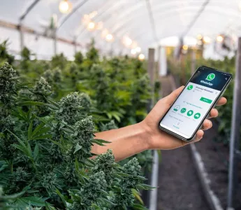 How Commercial Cannabis Growers Can Use Apps to Improve Team Communication