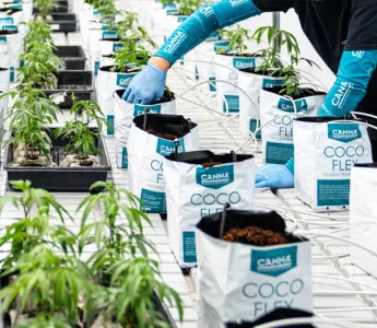 Cultivating Excellence: Green Karat's Journey with CANNA