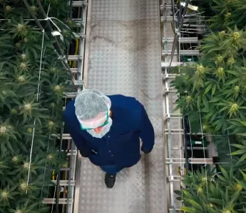 Cultivating Excellence: How Cannara Biotech Scales Quality with CANNA Nutrients