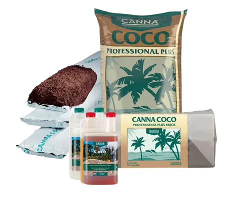 CANNA COCO